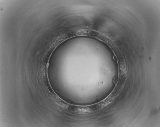 X0000073450753200608111350