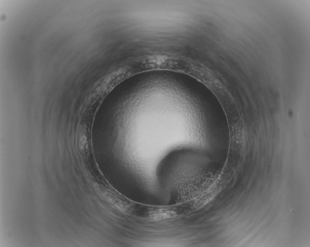 X0000073450754200608111350