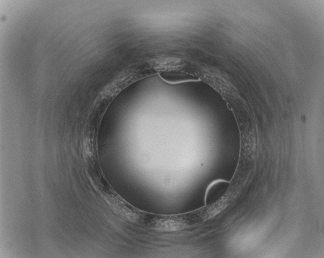 X0000073450755200608111350