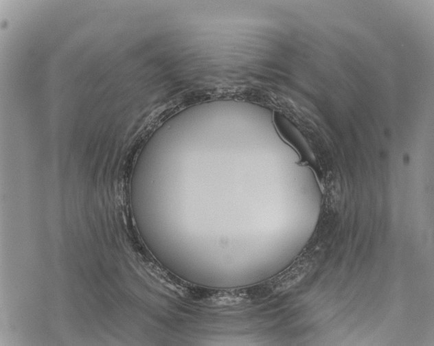 X0000073450756200608111350