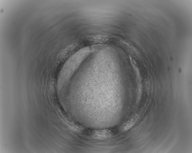 X0000073450757200608111350