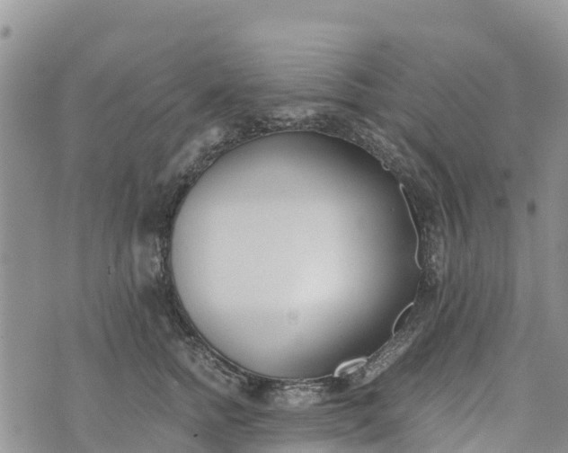 X0000073450758200608111350