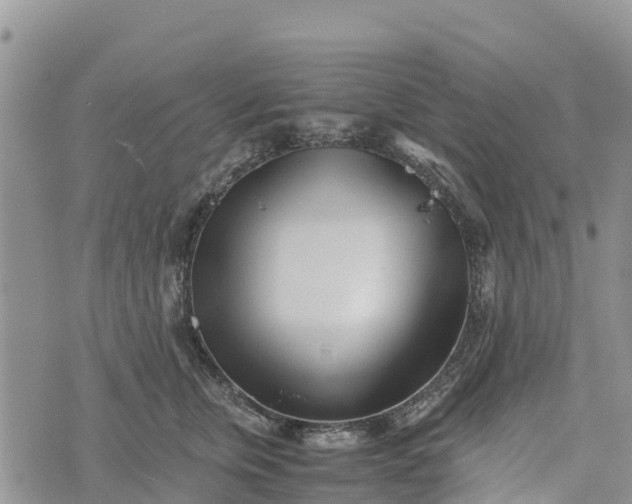 X0000073450759200608111350