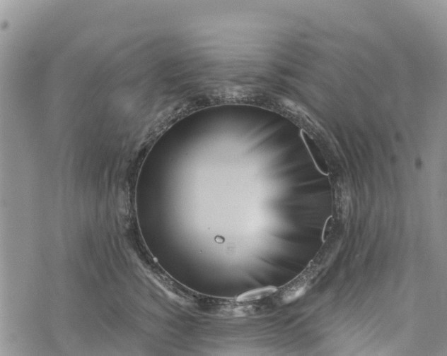 X0000073450760200608111350