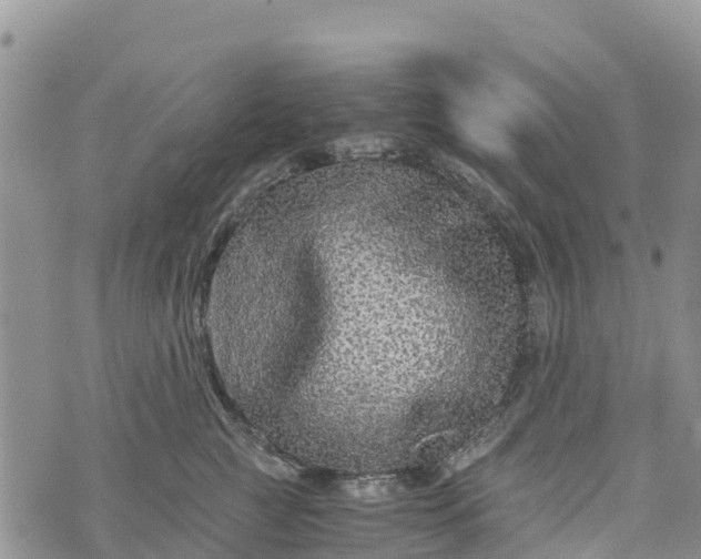 X0000073450761200608111350