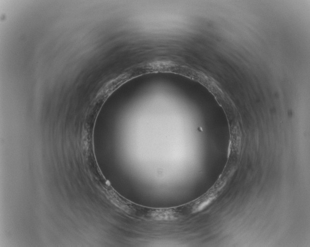 X0000073450762200608111350