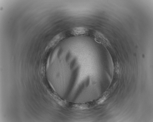 X0000073450763200608111350