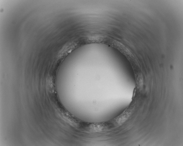 X0000073450764200608111350