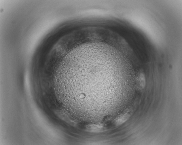 X0000073450765200608111350