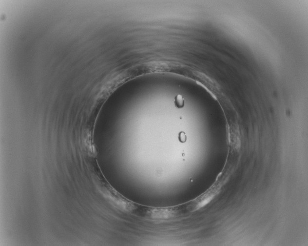 X0000073450766200608111350