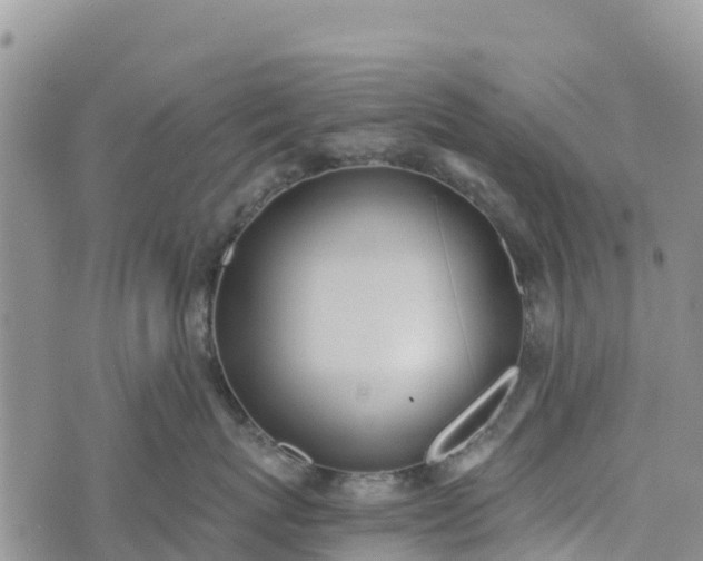 X0000073450767200608111350