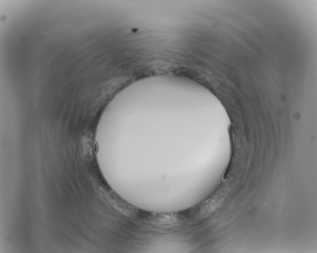 X0000073450768200608111350