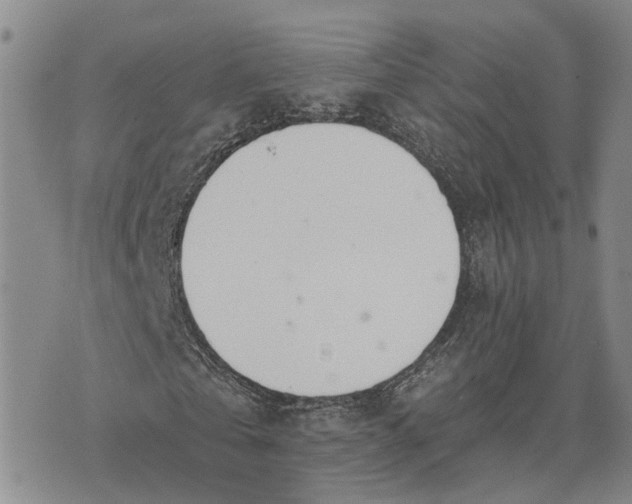 X0000073450769200608111349