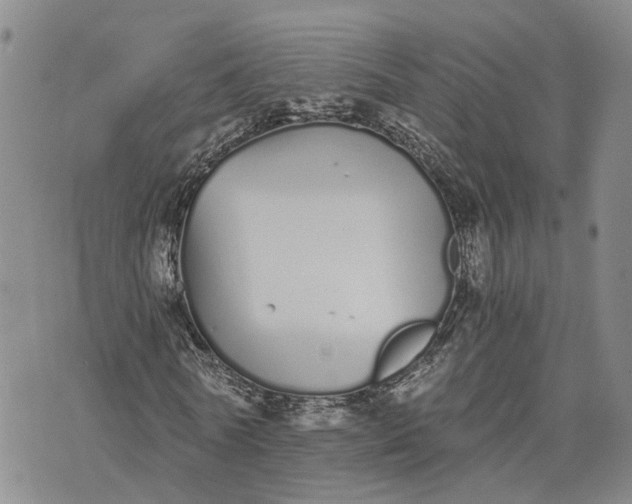 X0000073450770200608111349