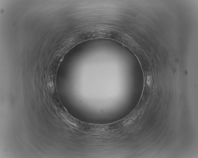 X0000073450771200608111349