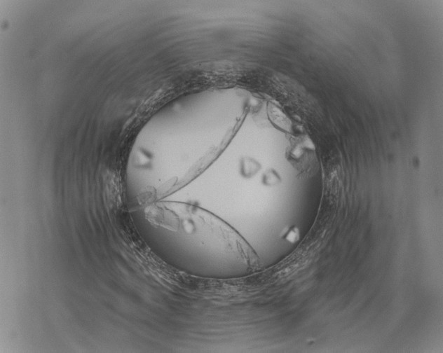 X0000073450772200608111349