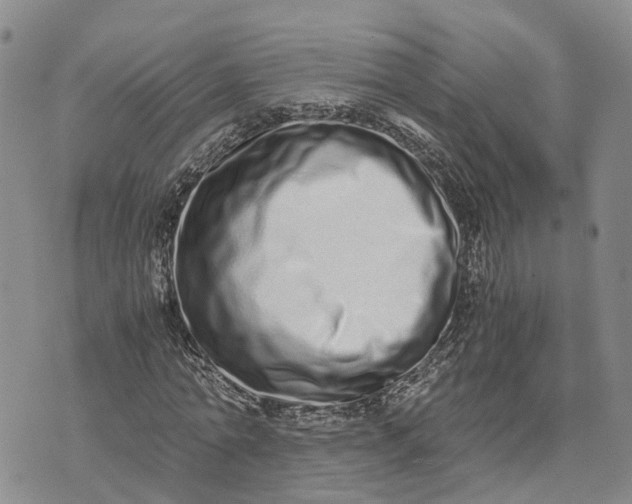 X0000073450774200608111349