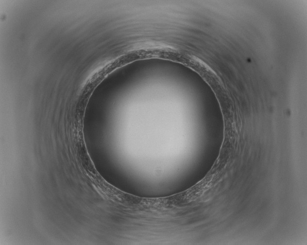 X0000073450775200608111349