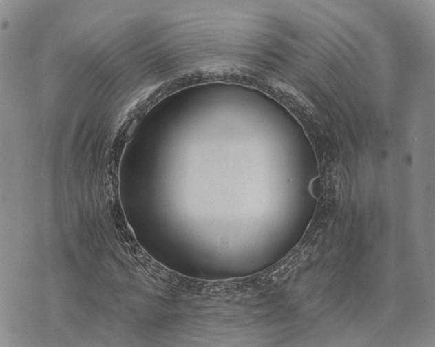 X0000073450776200608111349