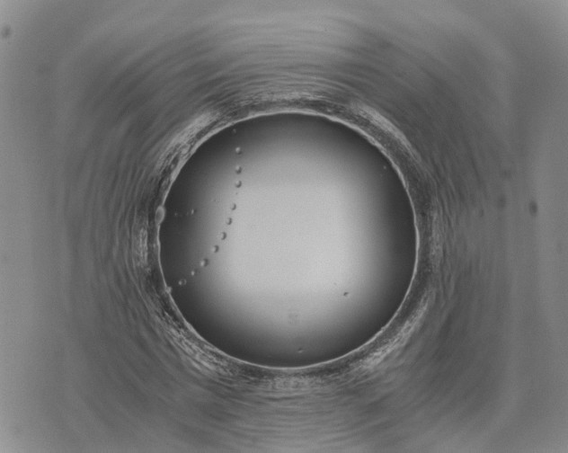 X0000073450777200608111349