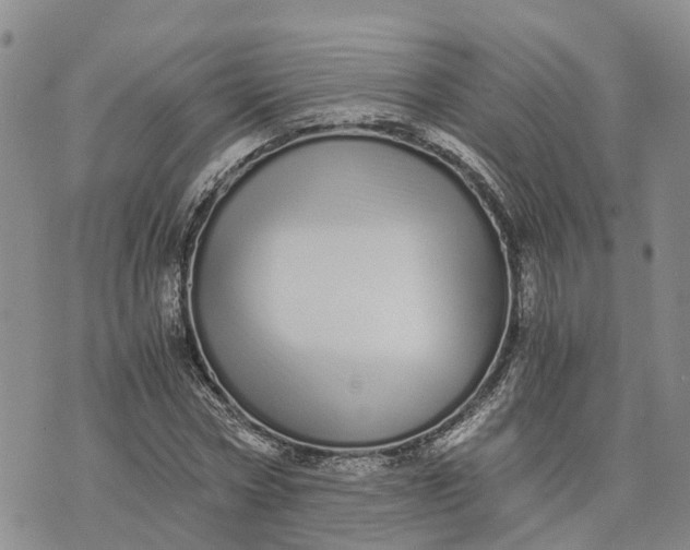 X0000073450778200608111349