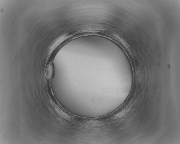 X0000073450779200608111349