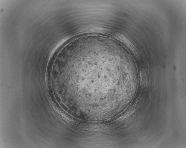 X0000073450780200608111349