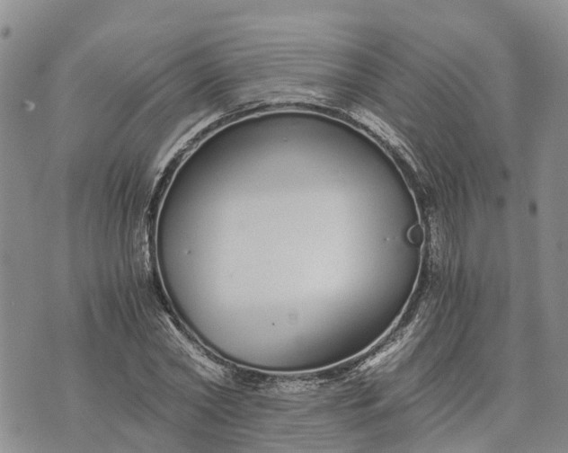 X0000073450782200608111349