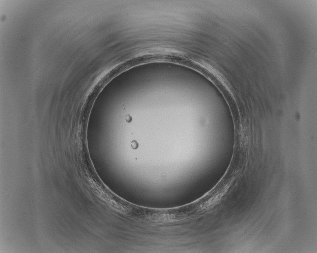 X0000073450783200608111349