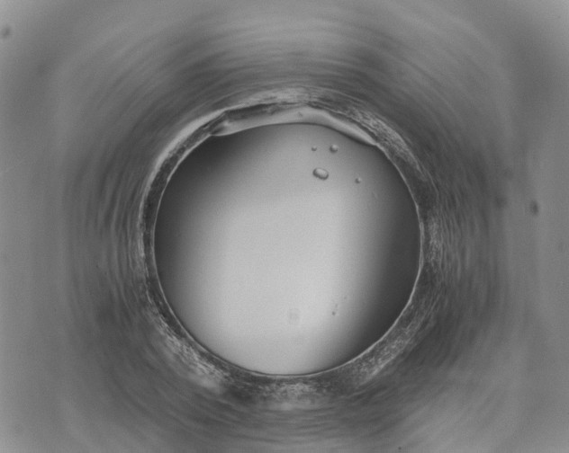 X0000073450784200608111349