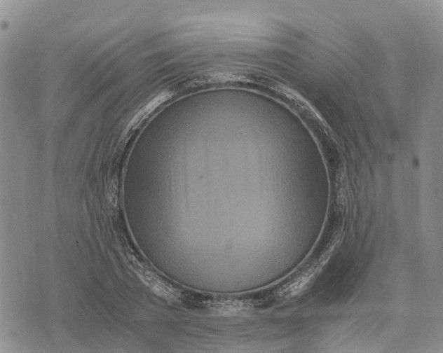 X0000073450785200608111349