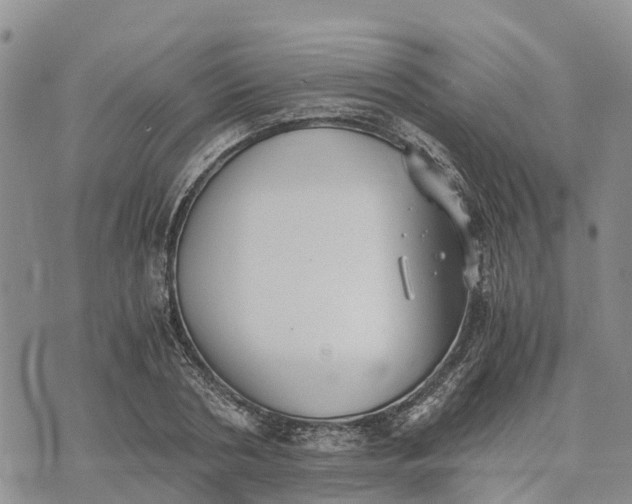 X0000073450786200608111349