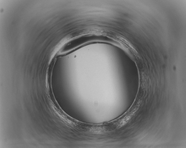 X0000073450788200608111349