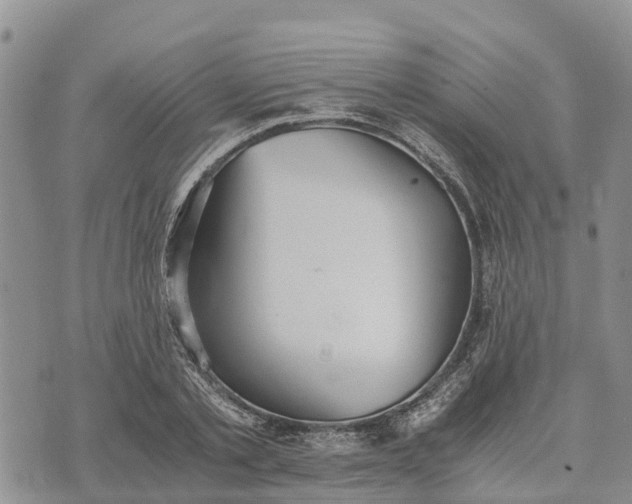 X0000073450789200608111349