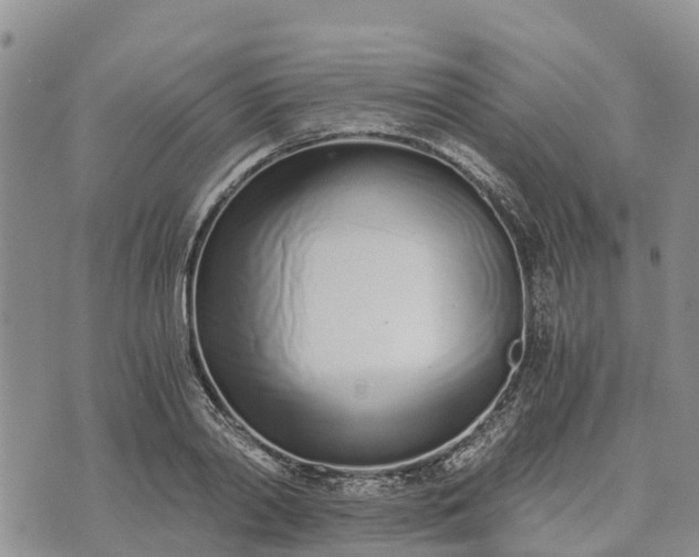 X0000073450790200608111349