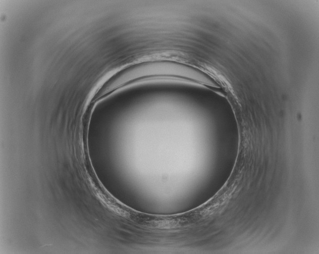 X0000073450792200608111349