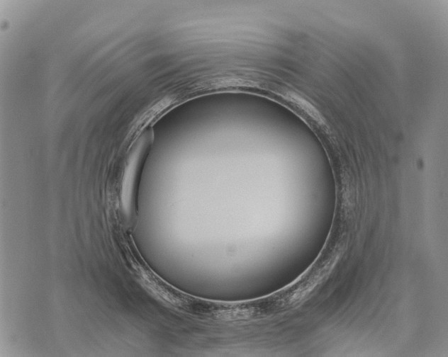 X0000073450793200608111349