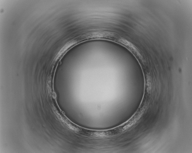 X0000073450794200608111349