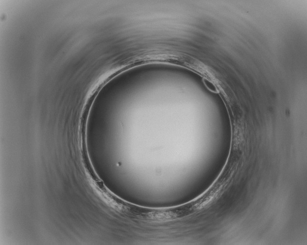 X0000073450795200608111349