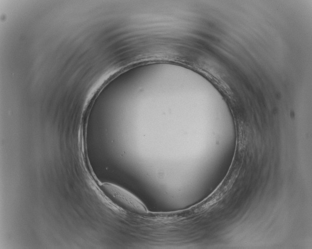 X0000073450796200608111349