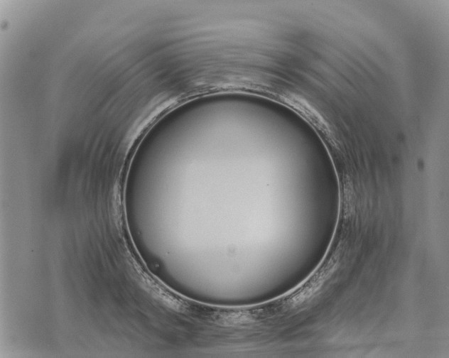 X0000073450798200608111349