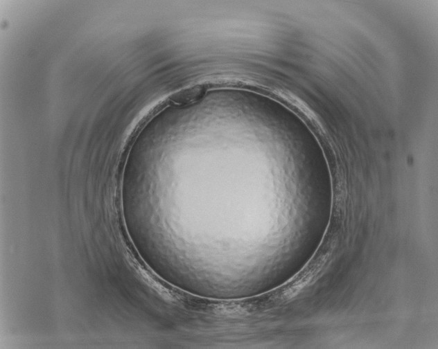 X0000073450799200608111349