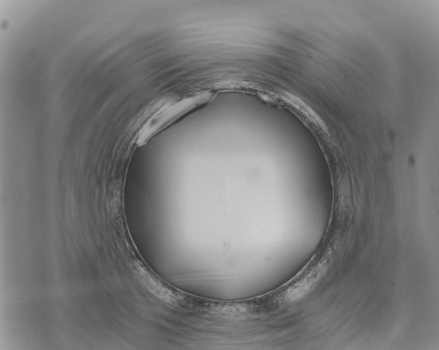 X0000073450801200608111349