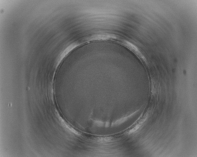 X0000073450802200608111349