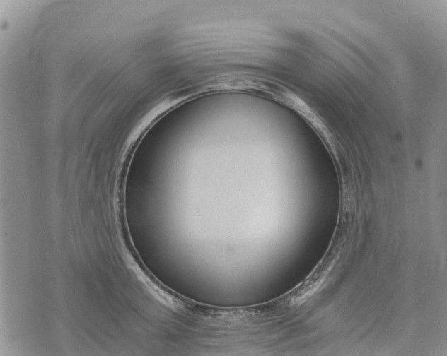 X0000073450803200608111349