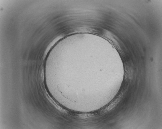 X0000073450804200608111349