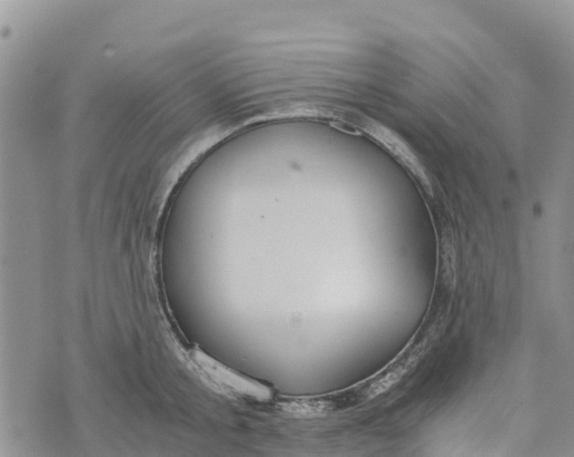 X0000073450805200608111349