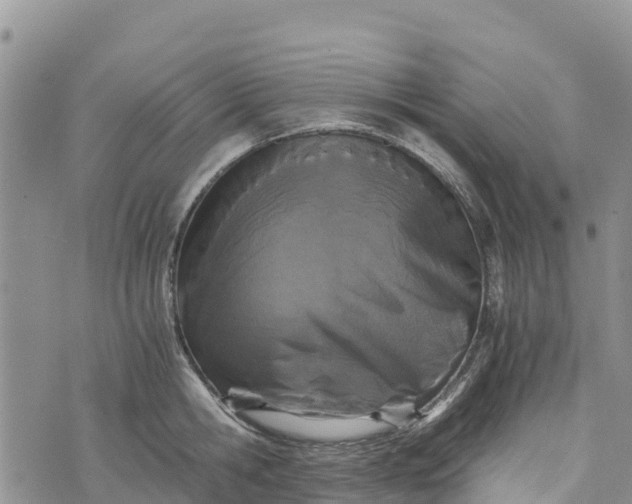 X0000073450806200608111349