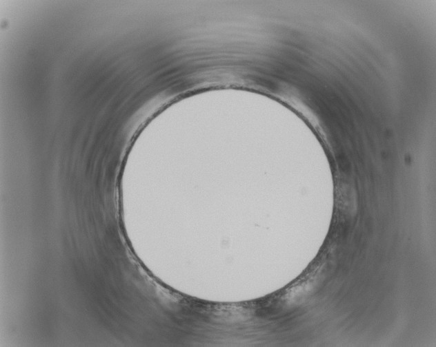 X0000073450807200608111349