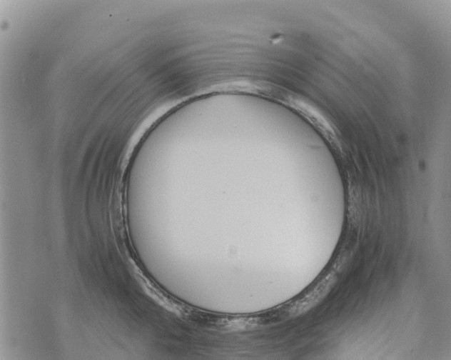 X0000073450808200608111349